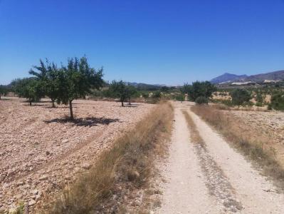 Murcia, Región De Murcia 30640, Spain