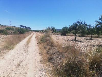 Murcia, Región De Murcia 30640, Spain