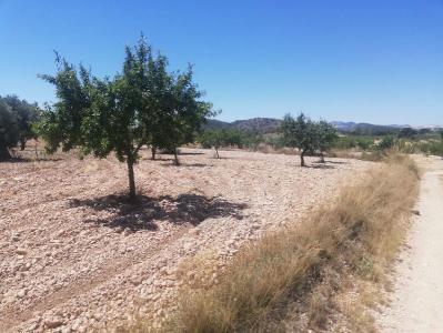 Murcia, Región De Murcia 30640, Spain