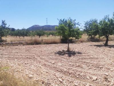 Murcia, Región de Murcia 30640, Spain