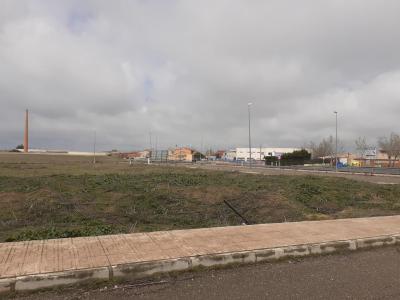 Toledo, Castilla-La Mancha 45519, ספרד