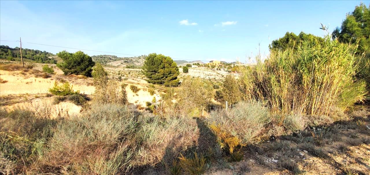 穆爾西亞, Región De Murcia 30170, 西班牙