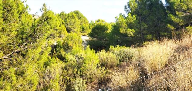 穆爾西亞, Región De Murcia 30170, 西班牙