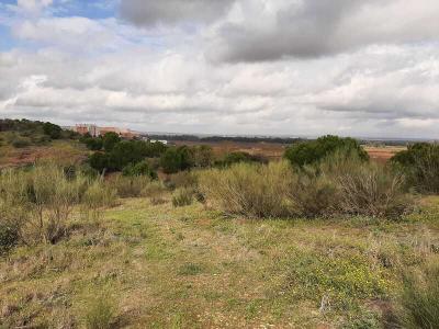 Badajoz, Extremadura 06009, Spain