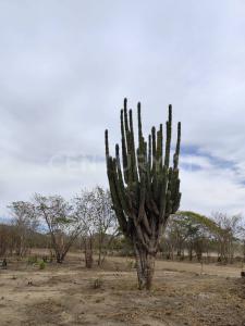 Salina Cruz, 瓦哈卡 70600, 墨西哥