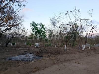 Salina Cruz, 瓦哈卡 70600, 墨西哥