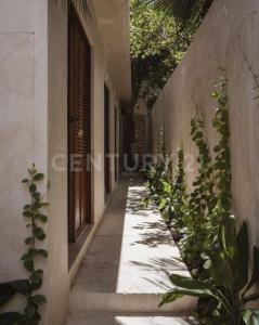 Campeche, Campeche 24010, México