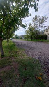 Viamonte 2933, Chacras De Coria, Mendoza 5505, Argentine