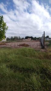 Viamonte 2933, Chacras De Coria, Mendoza 5505, Argentine