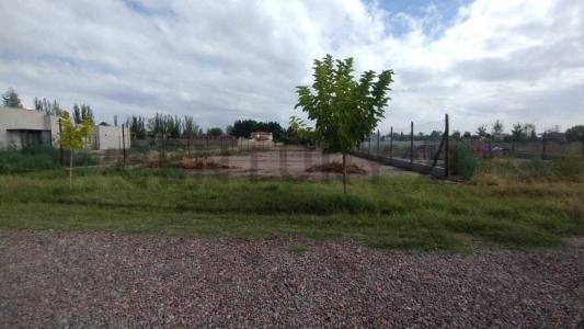 Viamonte 2933, Chacras De Coria, Mendoza 5505, Argentine