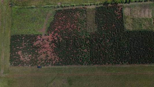 Puerto Samuhu , Nueva Alborada, Itapúa 00001, Paraguay