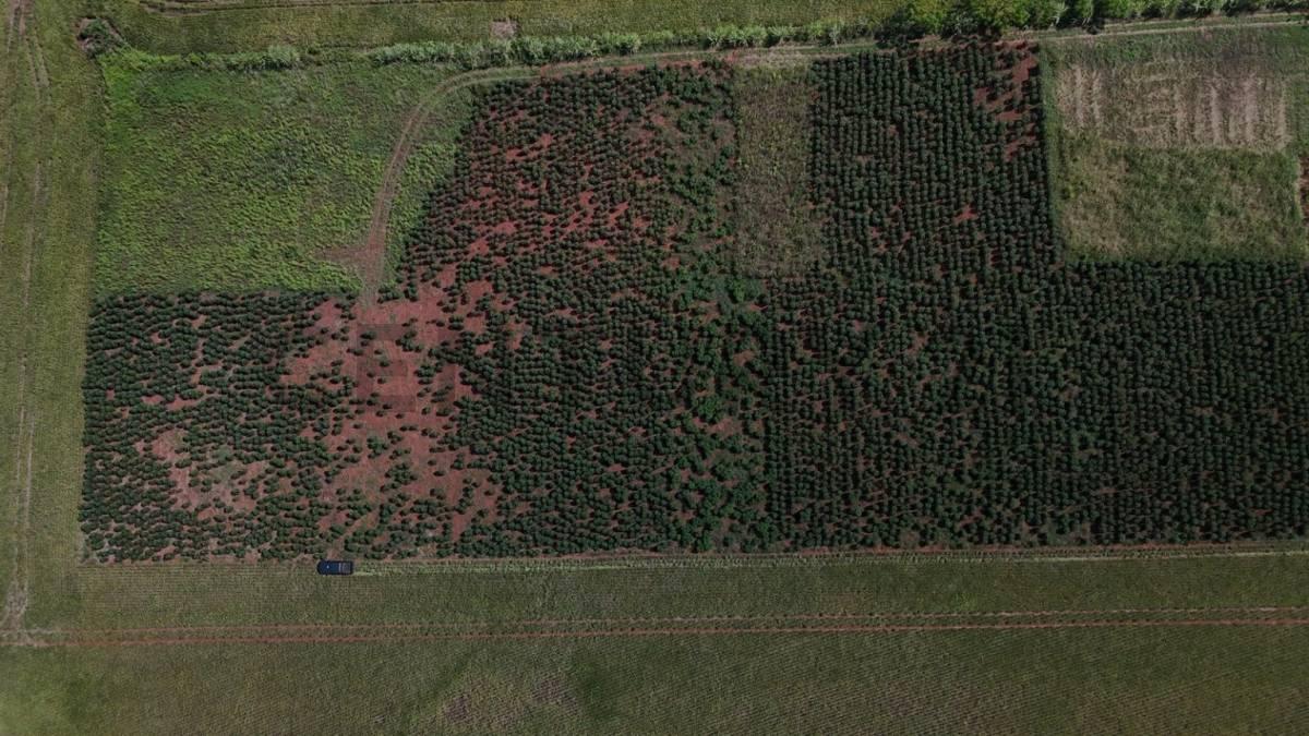 Puerto Samuhu , Nueva Alborada, Itapúa 00001, Paraguay
