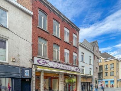 Basiliekstraat 78, Halle, 1500, Belgio