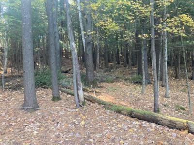 Ch. Ojai, Chelsea, Quebec J9B 1Y7, Canada
