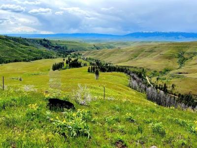 Tbd Fall Creek Road, Council, Idaho 83612, USA