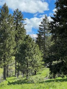 TBD Fall Creek Road, Council, Idaho 83612, Estados Unidos