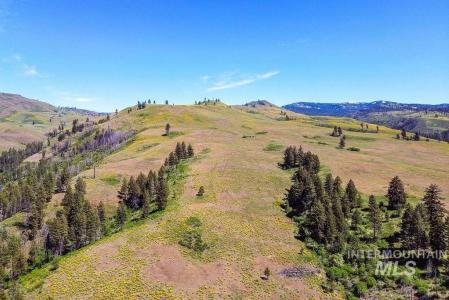 255 Ac Fall Creek Road, Council, Идаго 83612, Соединенные Штаты
