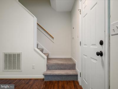 441 Ridgefield Avenue, Stephens City, Wirginia 22655, USA