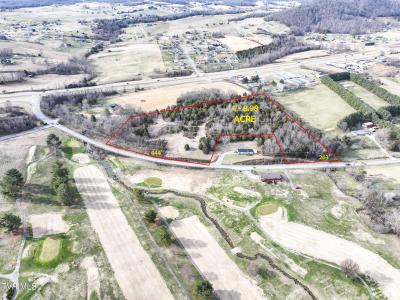 9 Ac Chuckey Highway, Chuckey, Tennessee 37641, Stati Uniti
