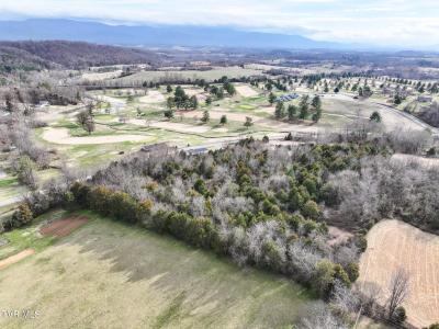 9 Ac Chuckey Highway, Chuckey, Tennessee 37641, Stati Uniti