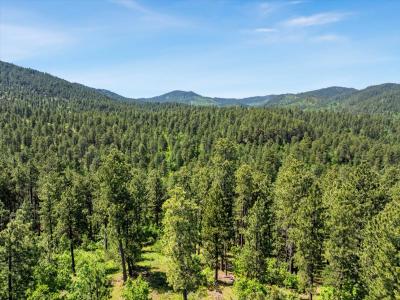 Lot 4, Spearfish, サウスダコタ 57783, アメリカ合衆国