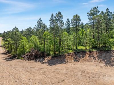 Lot 4, Spearfish, サウスダコタ 57783, アメリカ合衆国
