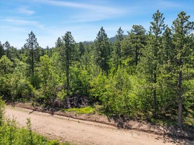 Lot 4, Spearfish, サウスダコタ 57783, アメリカ合衆国