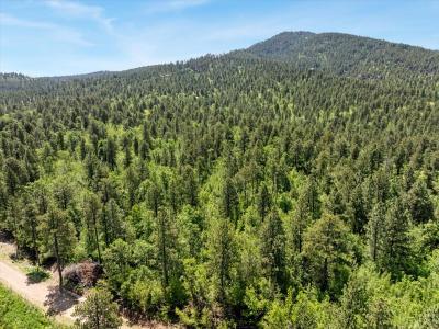 Lot 4, Spearfish, サウスダコタ 57783, アメリカ合衆国