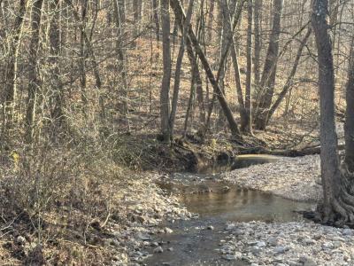 1 Cox Hollow Rd, Dover, Tennessee 37058, USA