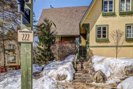 222 Ch. de la Forêt, Mont-Tremblant, Quebec J8E 3K8, Canada