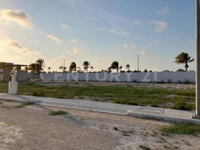 CALLE 21 352,, Progreso, Yucatán 97336, México