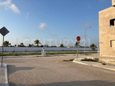 CALLE 21 352,, Progreso, Yucatán 97336, México