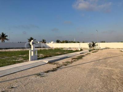 CALLE 21 352,, Progreso, Yucatán 97336, México