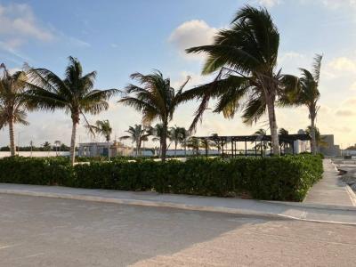CALLE 21 352,, Progreso, Yucatán 97336, México