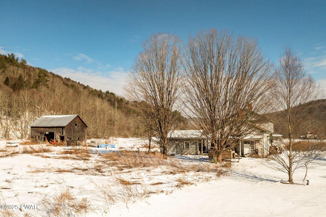 1789 Pine Mill Road, Equinunk, Pennsylvania 18417