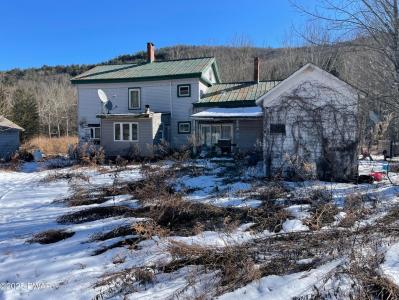 1789 Pine Mill Road, Equinunk, Pennsylvania 18417