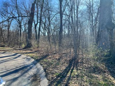 4 Acres off Oak Ridge Pond Court Road, Hannibal, Missouri 63401, USA