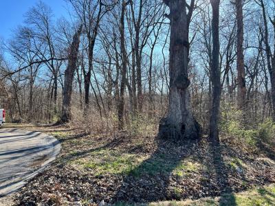 4 Acres off Oak Ridge Pond Court Road, Hannibal, Missouri 63401, USA