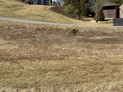 0 Park Dr & Silver Maple Drive, Jonesborough, Tennessee 37659