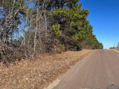 TBD Peteet Rd, Harleton, Texas 75651, USA