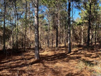 TBD Peteet Rd, Harleton, Texas 75651, Estados Unidos