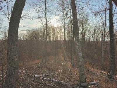 0 Overlook Trail, Stewart, 田纳西州 37175, 美国