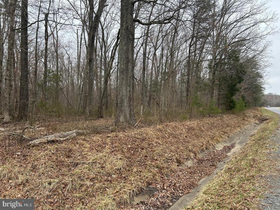 Swan Woods Road, Rhoadesville, Virginia 22542, Estados Unidos