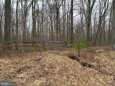 Swan Woods Road, Rhoadesville, Virginia 22542, Estados Unidos