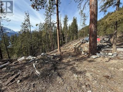 9779 3A HIGHWAY, Kuskanook, Britisch-Kolumbien V0B 1A1, Kanada