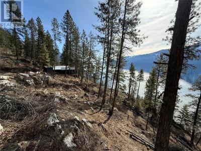 9779 3A HIGHWAY, Kuskanook, Britisch-Kolumbien V0B 1A1, Kanada