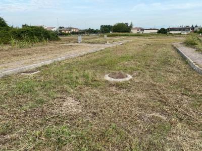 Via Olmo, Oppeano, Veneto 37050, Italia