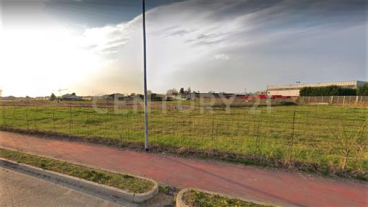 Via Olmo, Oppeano, Veneto 37050, Italia