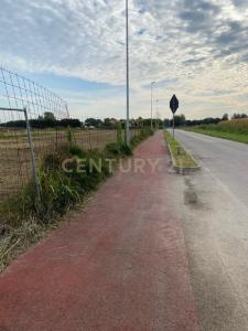 Via Olmo, Oppeano, Veneto 37050, Italia