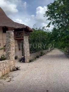 Predio Rústico Tablaje catastral no. 8740 L 1,, Chemax, Yucatan 97770, Mexico